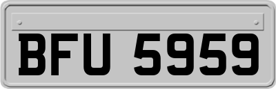 BFU5959