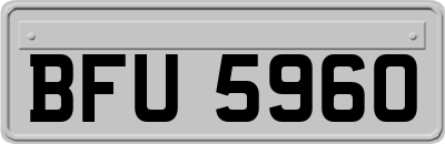 BFU5960