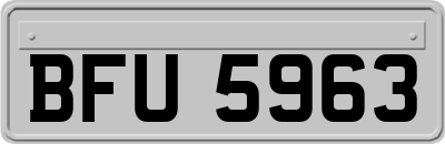 BFU5963
