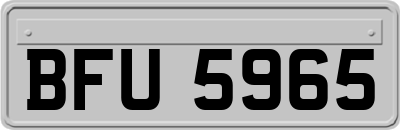 BFU5965