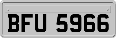 BFU5966