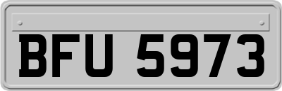 BFU5973