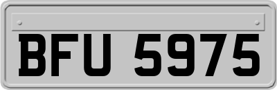 BFU5975