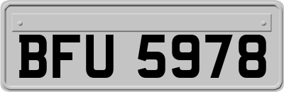 BFU5978