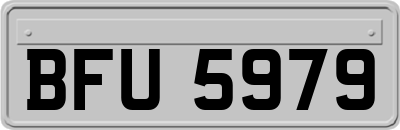 BFU5979