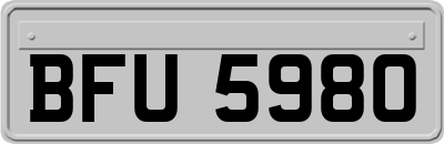 BFU5980