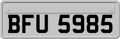 BFU5985