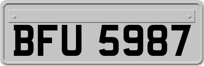 BFU5987