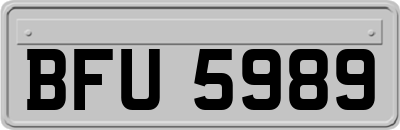 BFU5989
