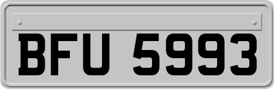 BFU5993