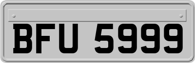 BFU5999