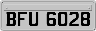 BFU6028