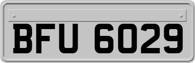 BFU6029