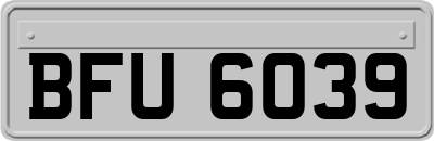 BFU6039