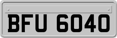 BFU6040