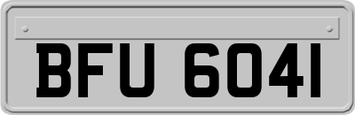 BFU6041