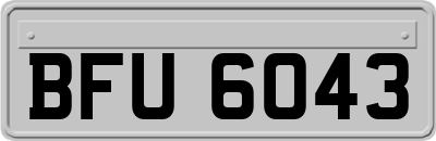 BFU6043