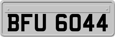 BFU6044