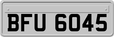 BFU6045