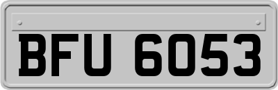 BFU6053