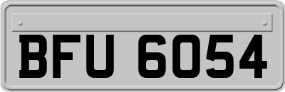 BFU6054