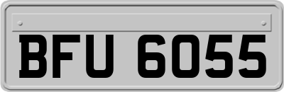 BFU6055