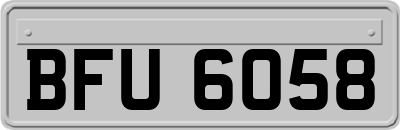 BFU6058