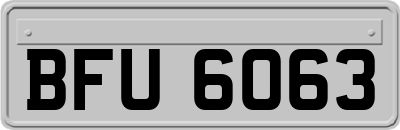 BFU6063