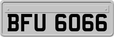 BFU6066