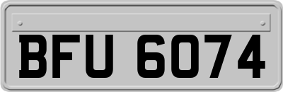 BFU6074