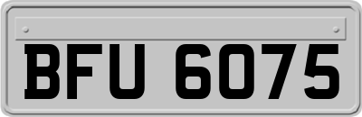 BFU6075