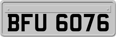 BFU6076
