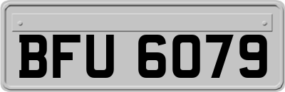 BFU6079