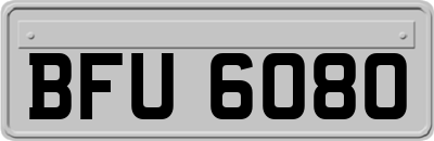 BFU6080