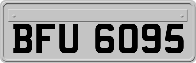 BFU6095