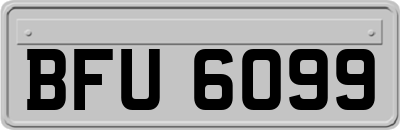 BFU6099
