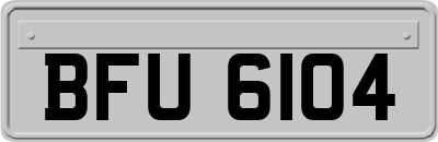BFU6104