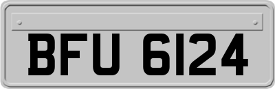 BFU6124