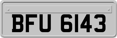 BFU6143
