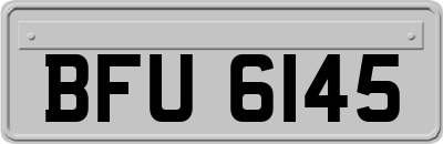 BFU6145