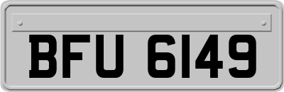 BFU6149