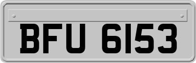 BFU6153