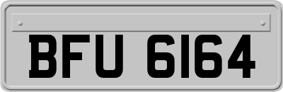BFU6164