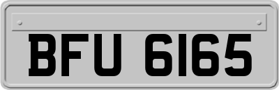 BFU6165