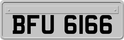 BFU6166
