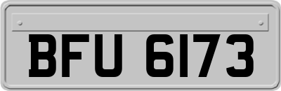 BFU6173