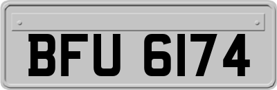 BFU6174