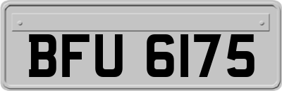 BFU6175