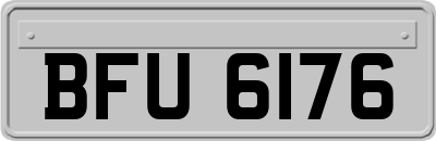 BFU6176