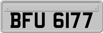 BFU6177
